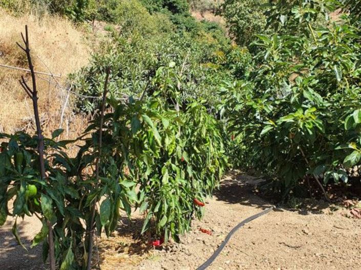 Image No.22-2 Bed Country House for sale