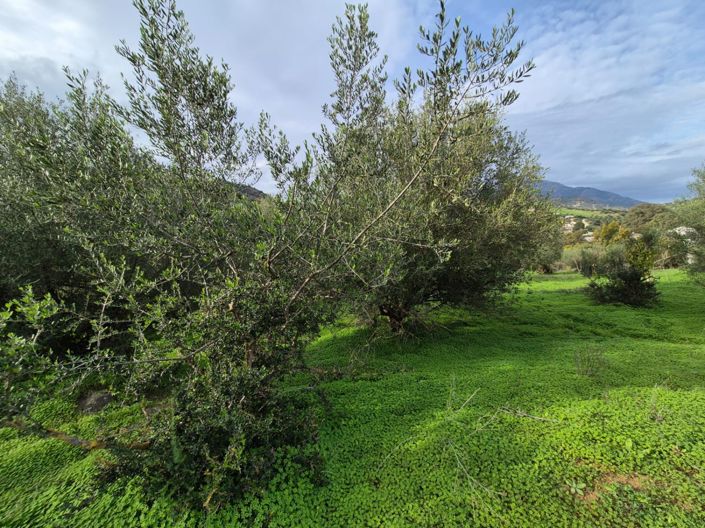 Image No.18-Country House for sale