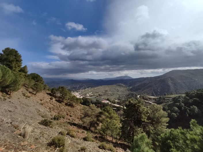 Image No.19-1 Bed Country House for sale