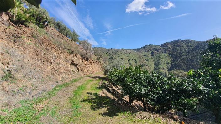 Image No.10-Land for sale