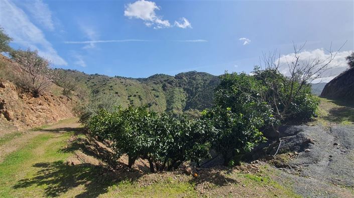 Image No.11-Land for sale