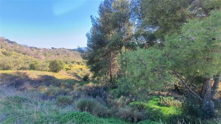 Image No.11-Land for sale