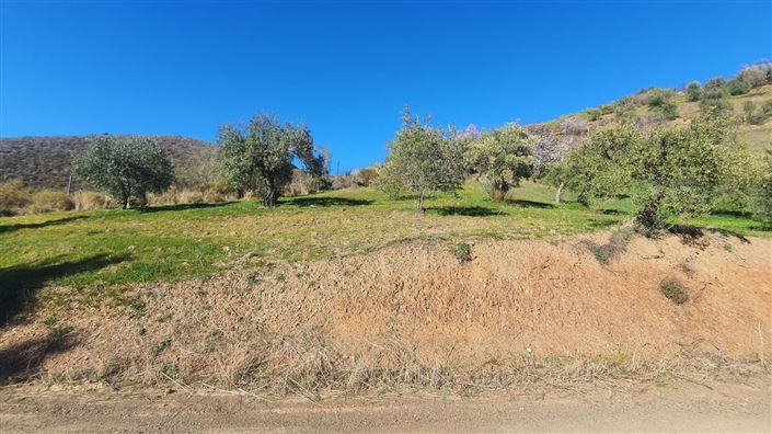 Image No.6-Land for sale