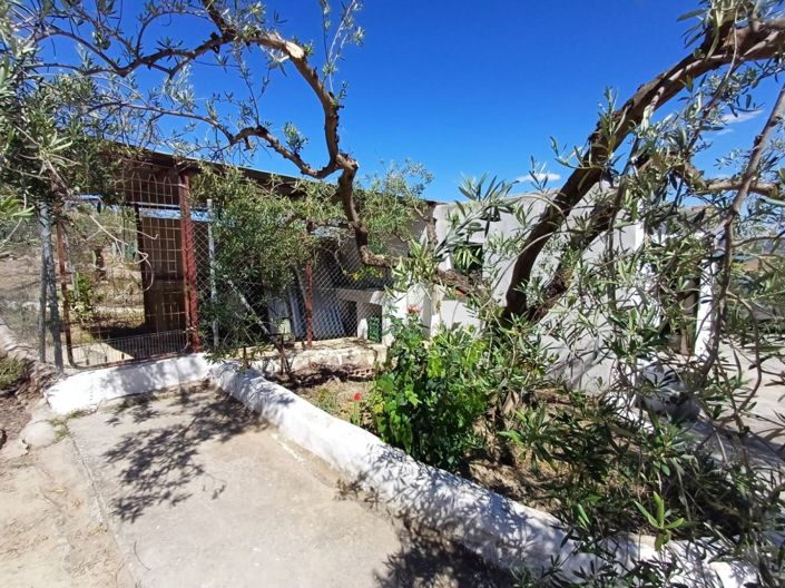 Image No.24-3 Bed Country House for sale