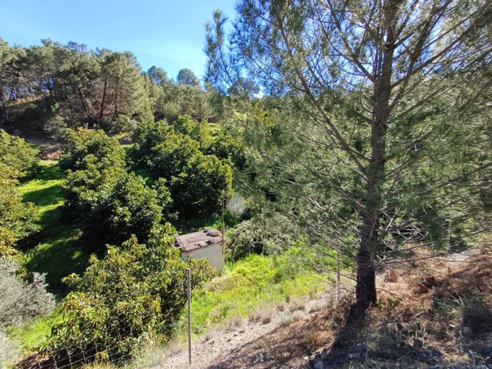 Image No.4-Land for sale