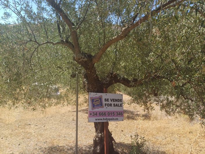 Image No.3-Land for sale