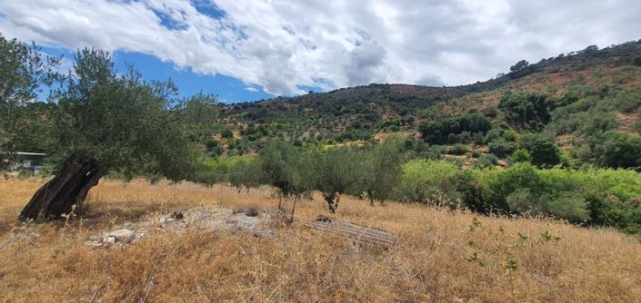 Image No.5-Land for sale