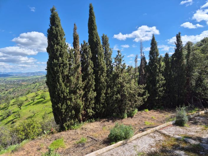 Image No.19-3 Bed Country House for sale