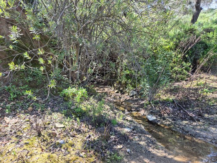 Image No.24-3 Bed Country House for sale