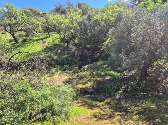 Image No.25-3 Bed Country House for sale