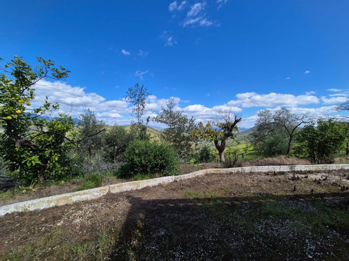 Image No.26-3 Bed Country House for sale