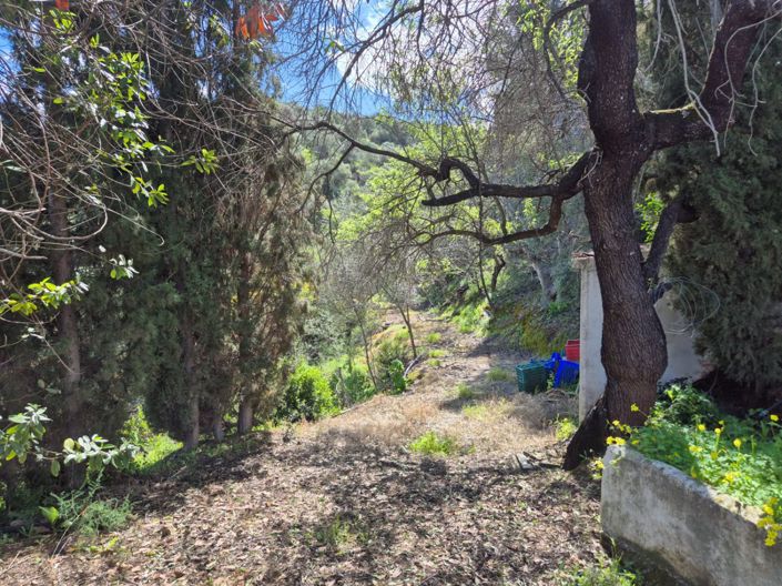 Image No.27-3 Bed Country House for sale