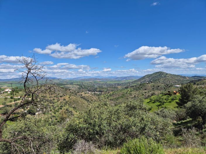 Image No.3-3 Bed Country House for sale