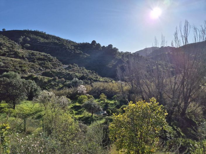 Image No.3-1 Bed Country House for sale