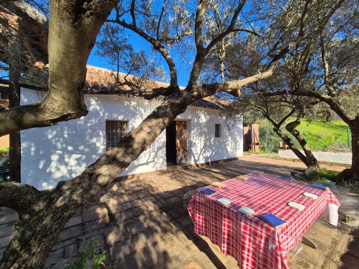 Image No.4-1 Bed Country House for sale