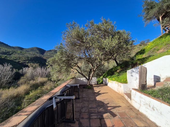 Image No.7-1 Bed Country House for sale