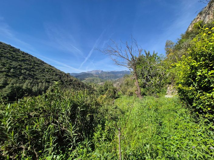 Image No.2-1 Bed Country House for sale