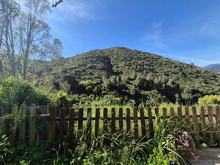 Image No.22-1 Bed Country House for sale