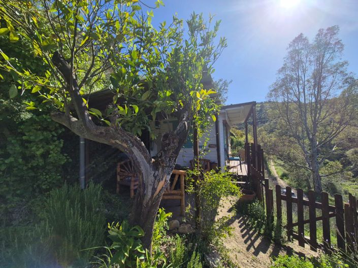 Image No.5-1 Bed Country House for sale