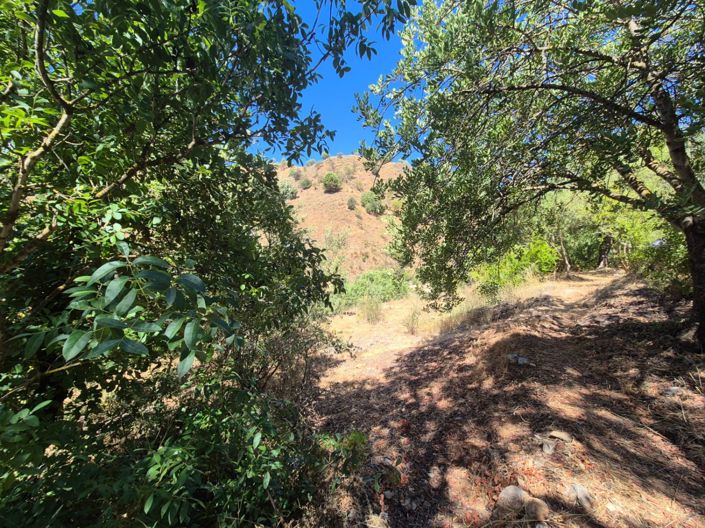 Image No.12-2 Bed Country House for sale