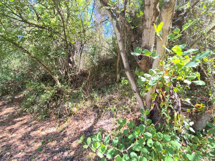 Image No.14-2 Bed Country House for sale