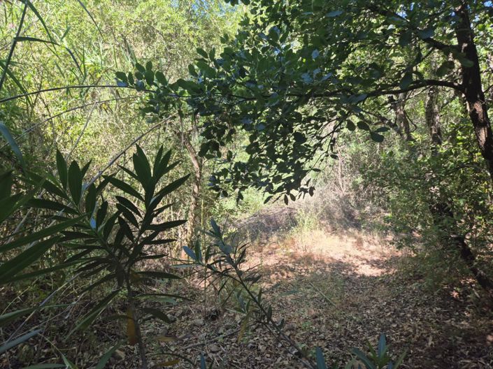 Image No.15-2 Bed Country House for sale