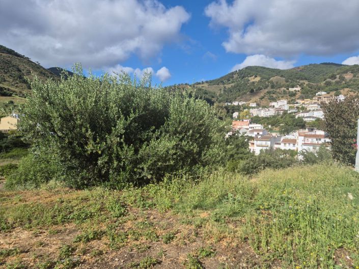 Image No.1-Land for sale