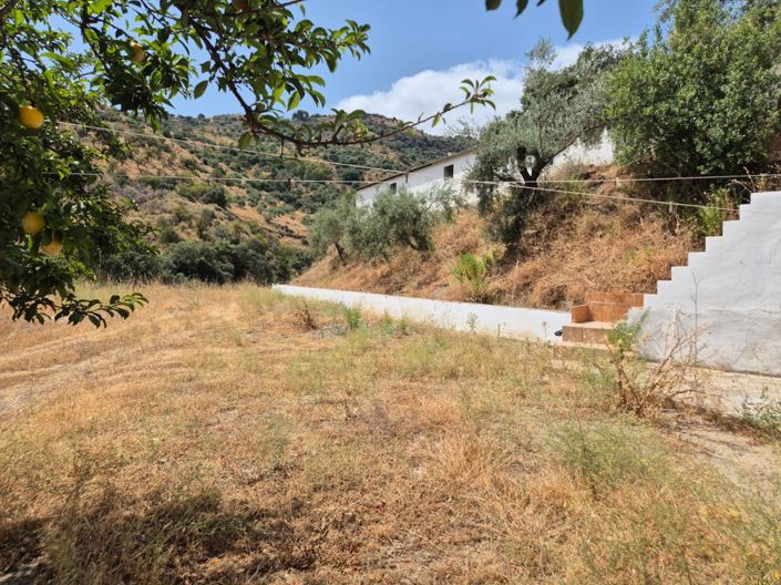 Image No.18-3 Bed Country House for sale