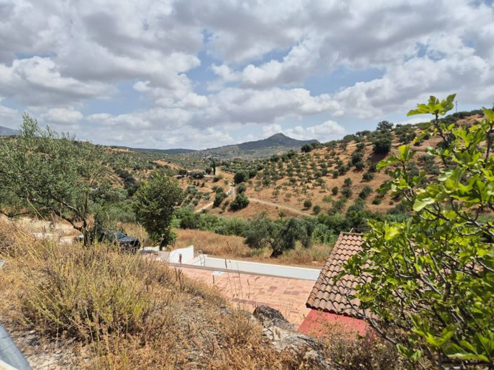 Image No.24-3 Bed Country House for sale