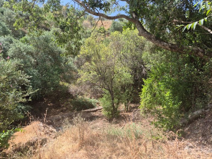 Image No.25-3 Bed Country House for sale