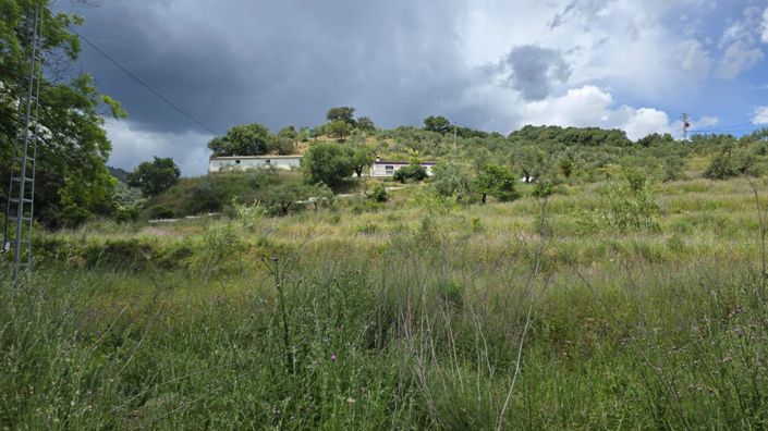 Image No.28-3 Bed Country House for sale