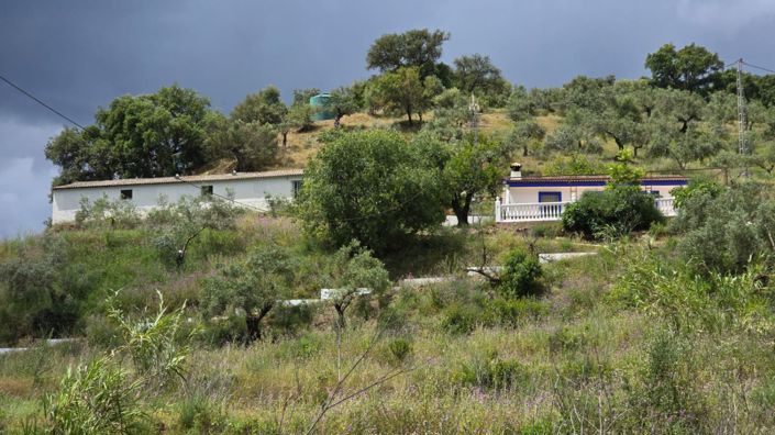 Image No.29-3 Bed Country House for sale