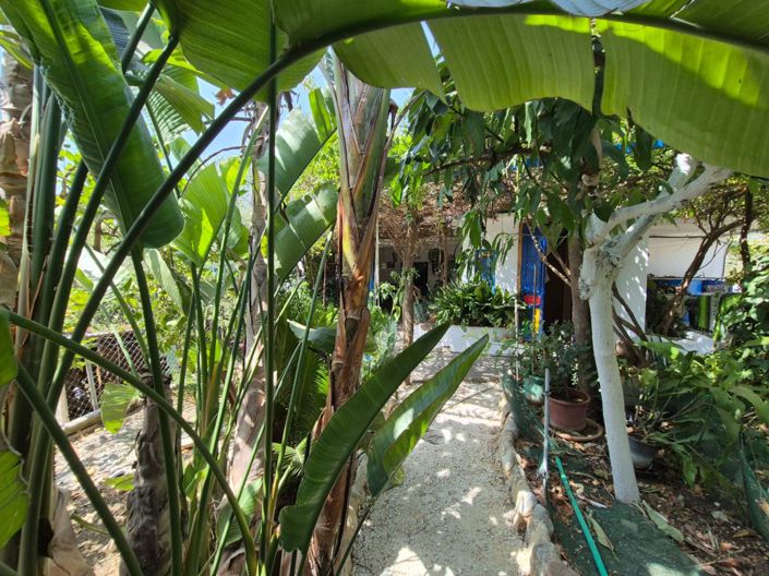 Image No.27-5 Bed Country House for sale