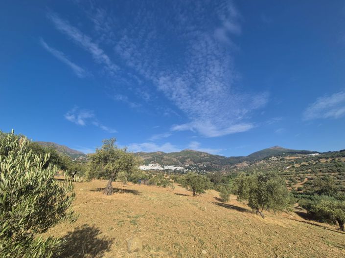 Image No.1-Land for sale