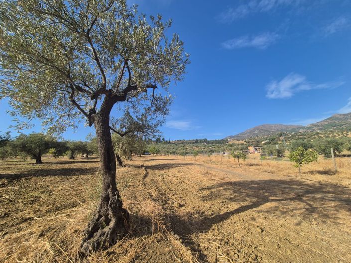 Image No.7-Land for sale