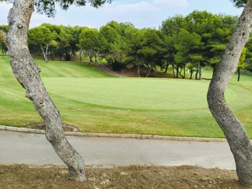 o1j71pd315130dco8qnrcr65cp3n