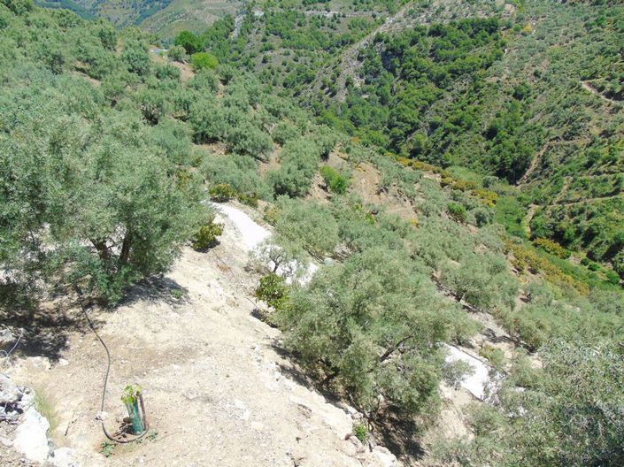 Image No.8-Country House for sale