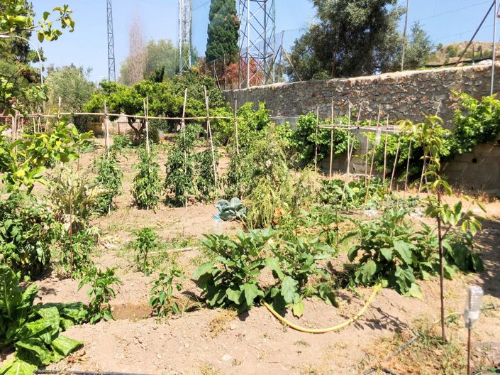 Image No.16-3 Bed Villa for sale