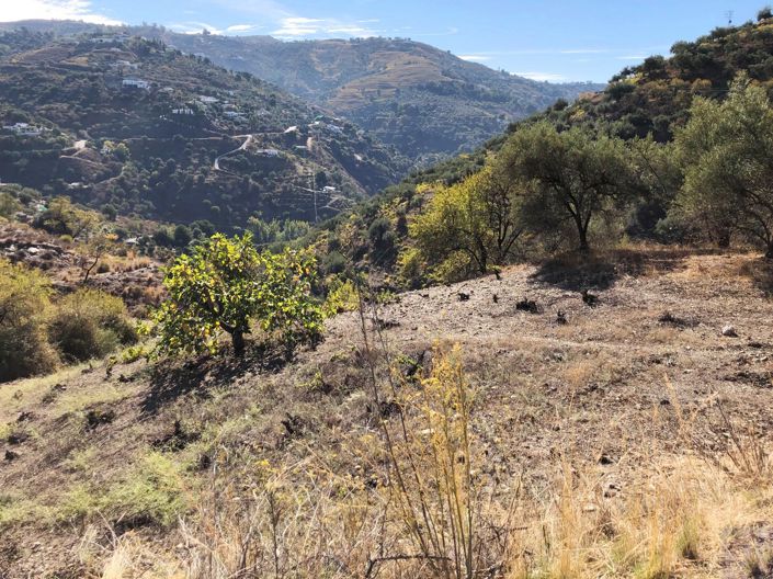 Image No.14-3 Bed Villa for sale