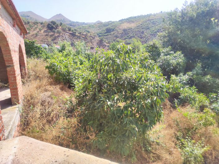 Image No.10-Villa for sale