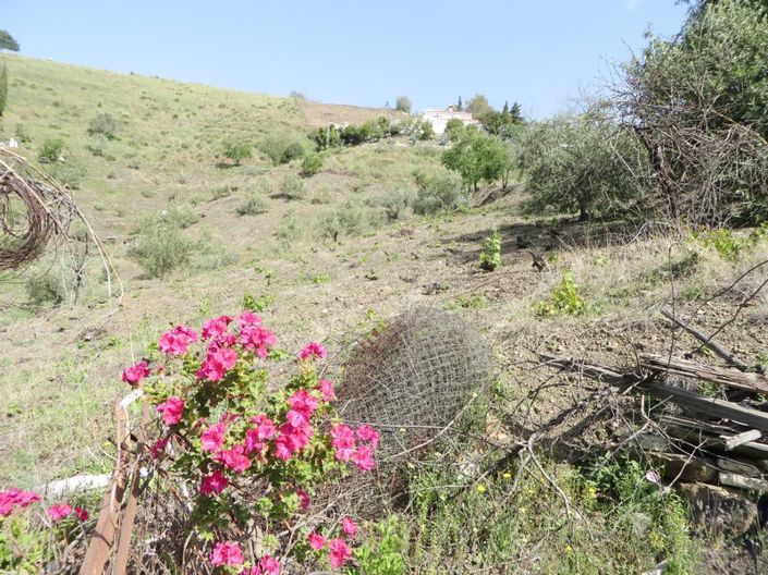 Image No.11-1 Bed Country House for sale