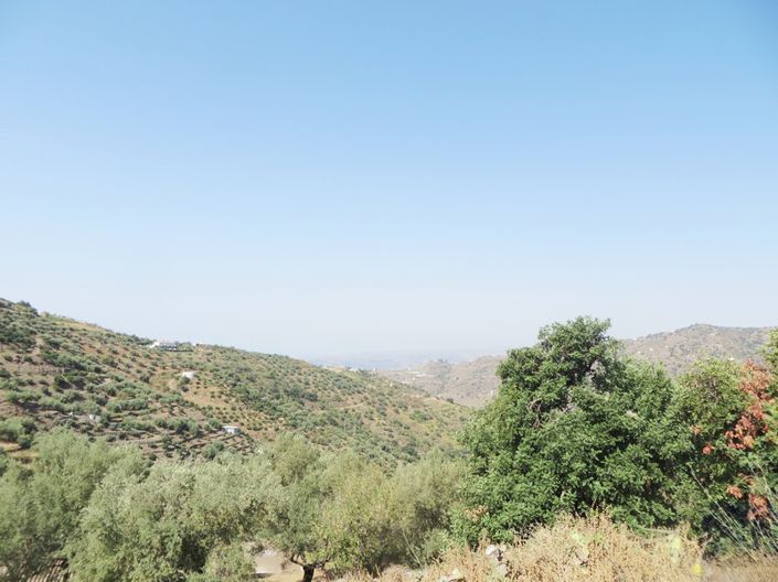 Image No.11-6 Bed Country House for sale