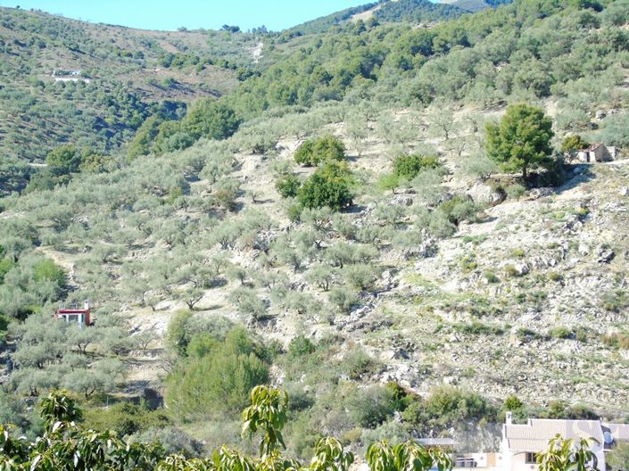 Image No.11-1 Bed Country House for sale