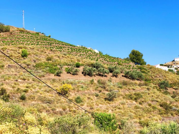 Image No.10-4 Bed Plot for sale