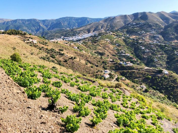 Image No.9-4 Bed Plot for sale