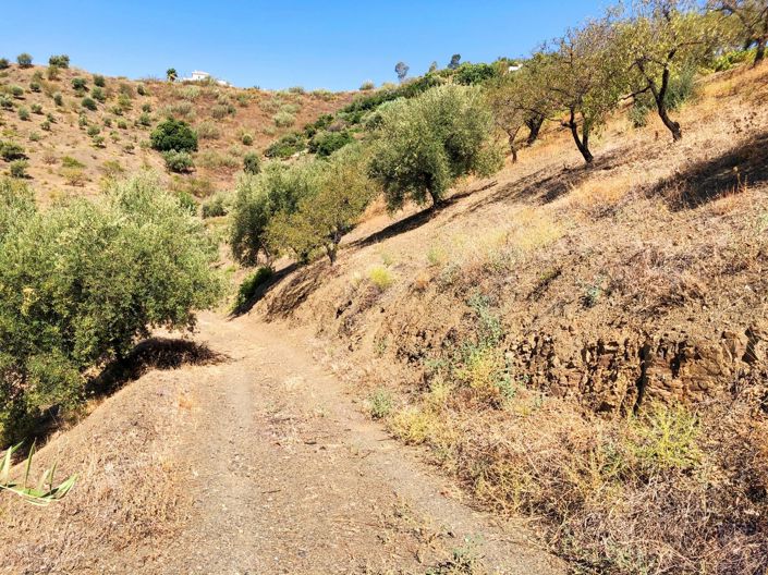 Image No.11-3 Bed Plot for sale