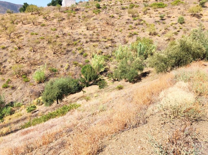 Image No.13-3 Bed Plot for sale