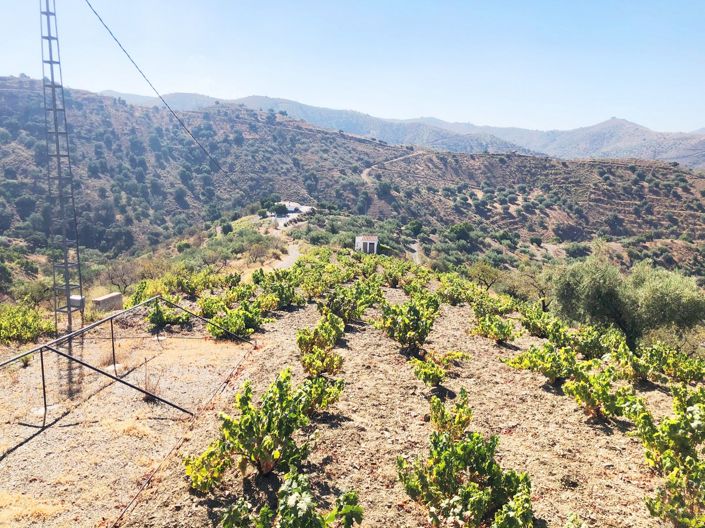 Image No.8-3 Bed Plot for sale