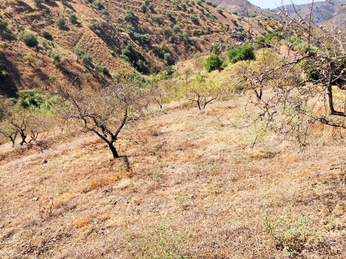 Image No.2-Plot for sale