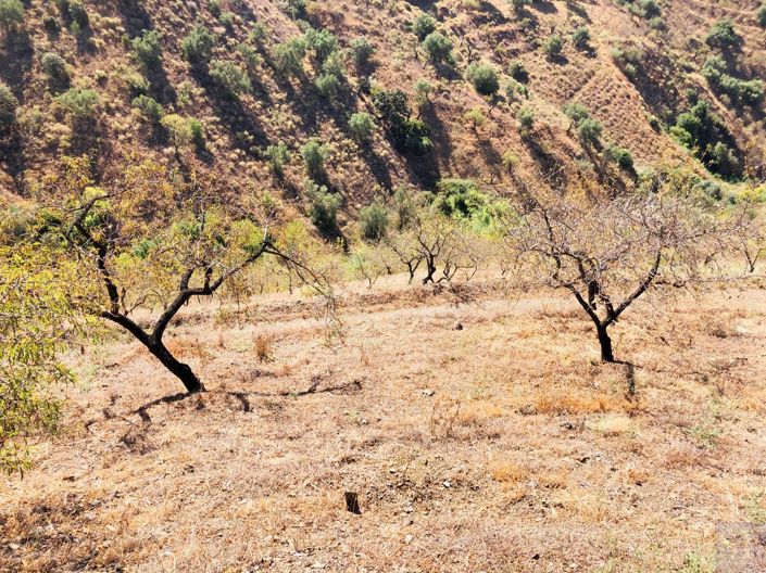 Image No.3-Plot for sale